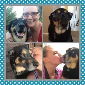 Meet your Posher, Heidi